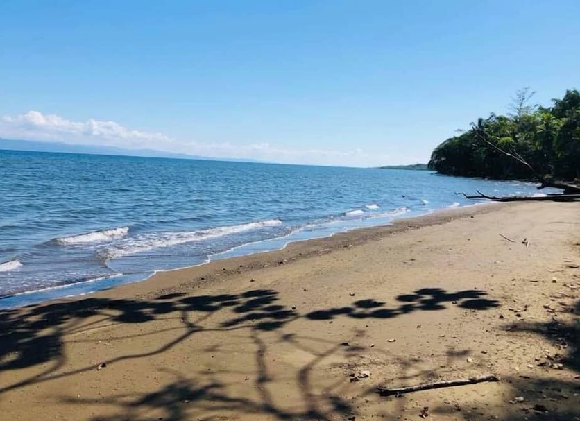 Beach Photo