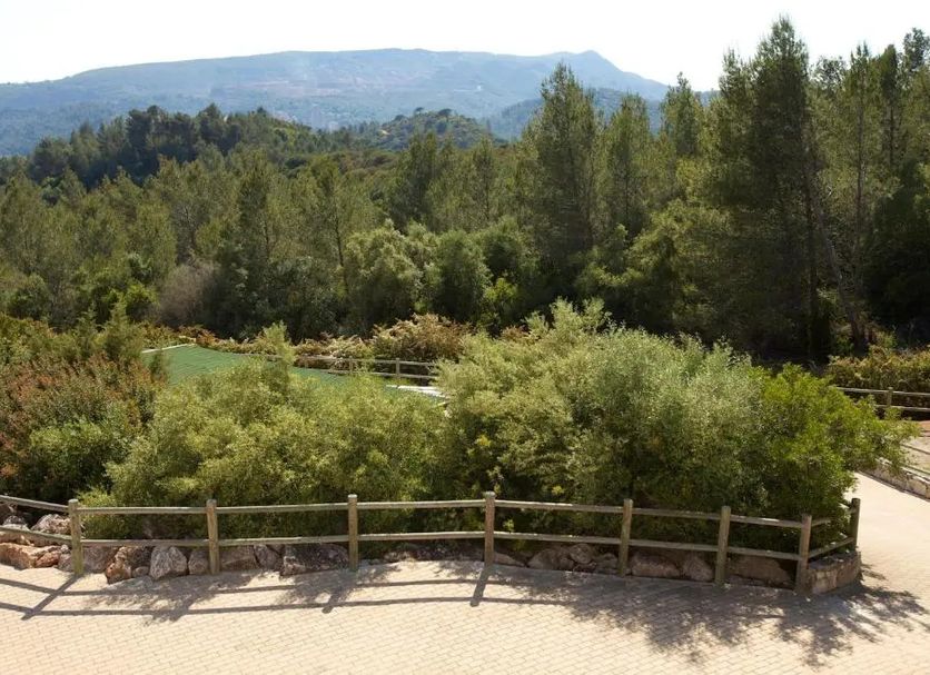 Outdoor view Photo