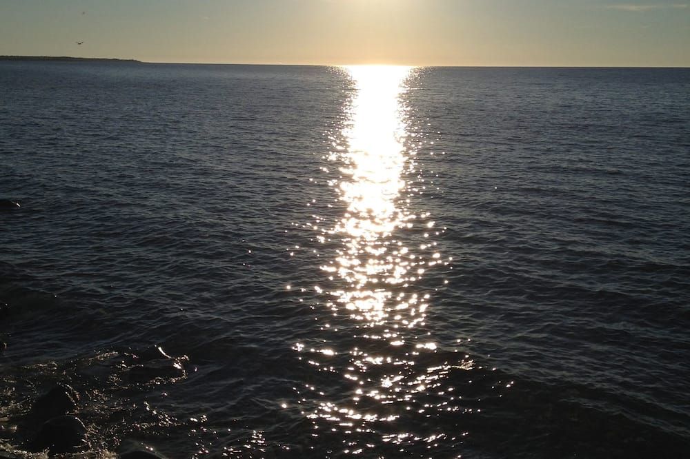 Other Photo