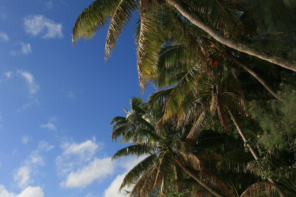 Outdoor view
