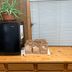 Hotel amenity