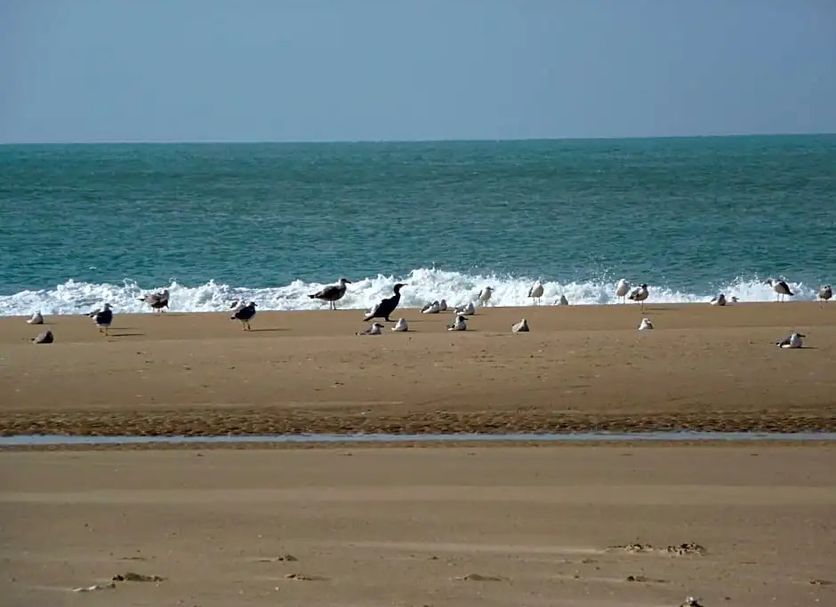 Beach Photo
