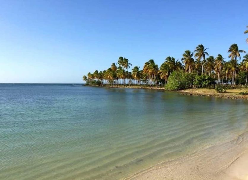 Beach Photo
