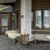 Outdoor view