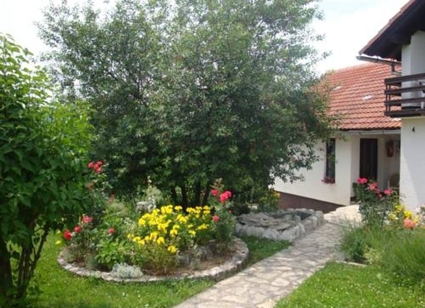 Other Photo
