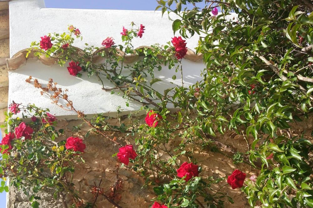 Outdoor view