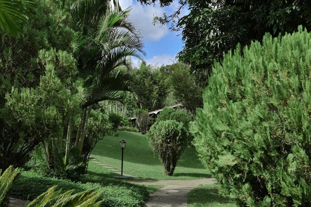 Outdoor view