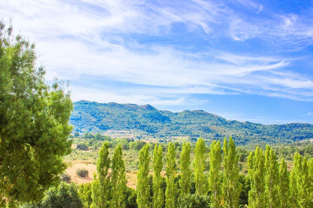 Outdoor view