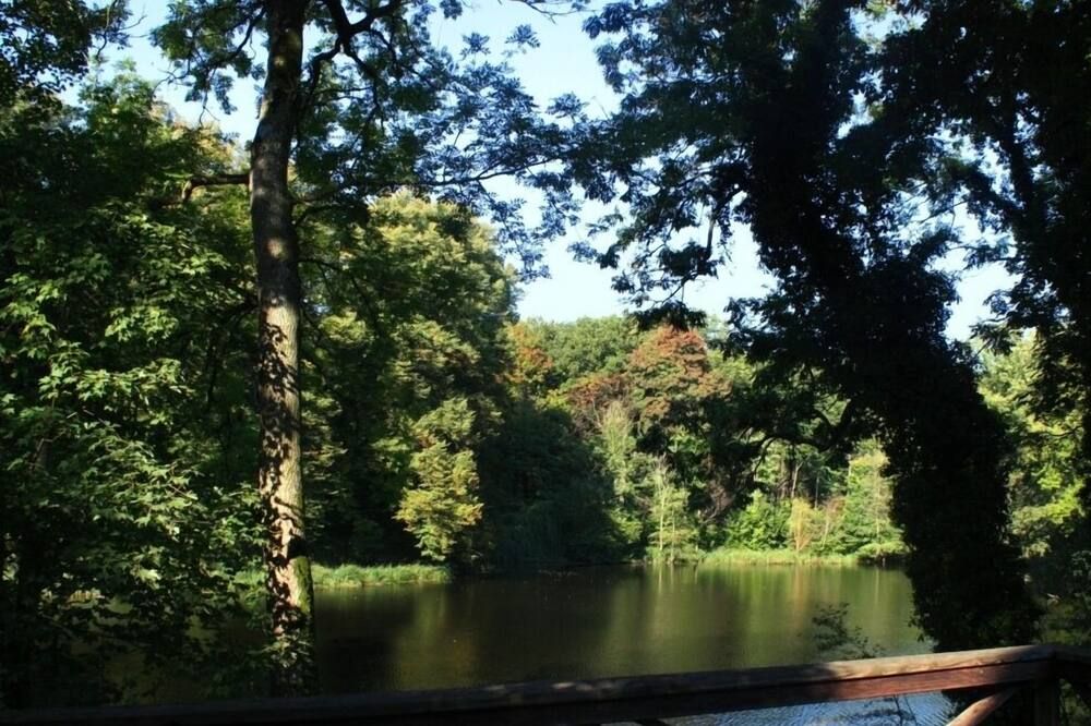 Outdoor view