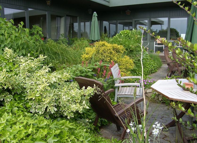 Patio Photo