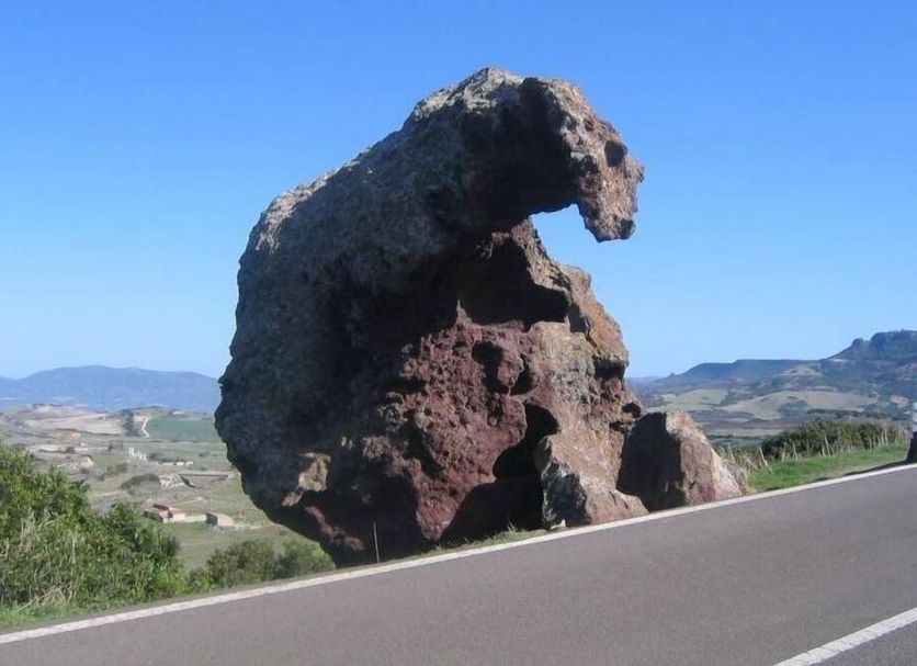 Other Photo