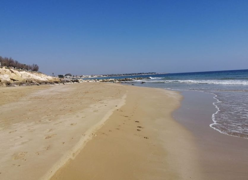 Beach Photo