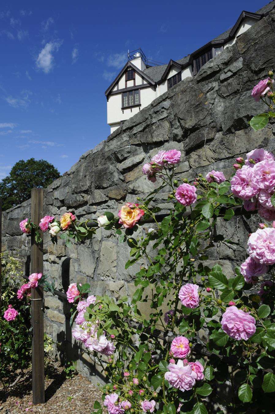 Outdoor view