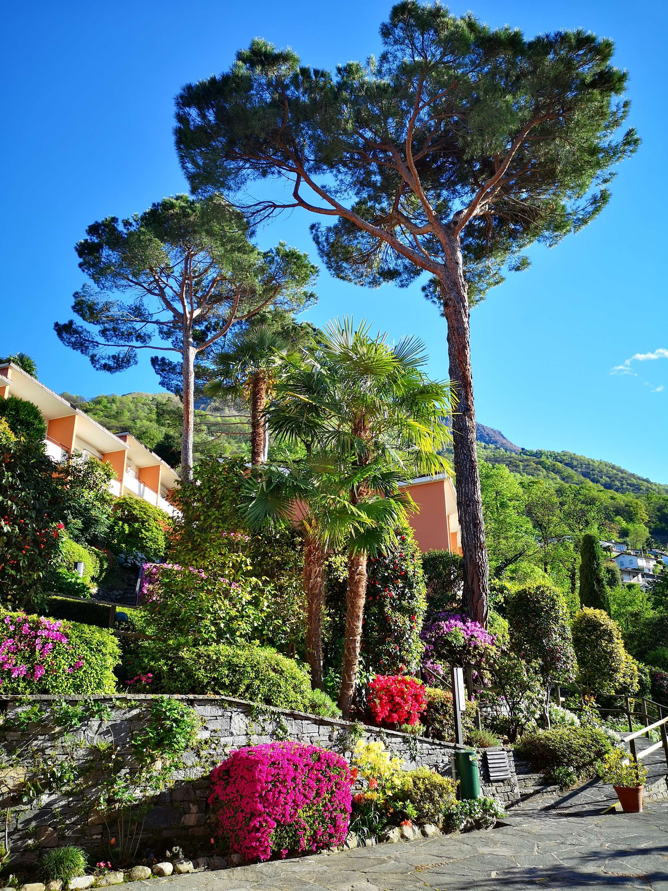 Outdoor view
