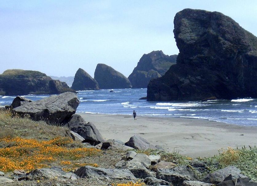 Beach Photo