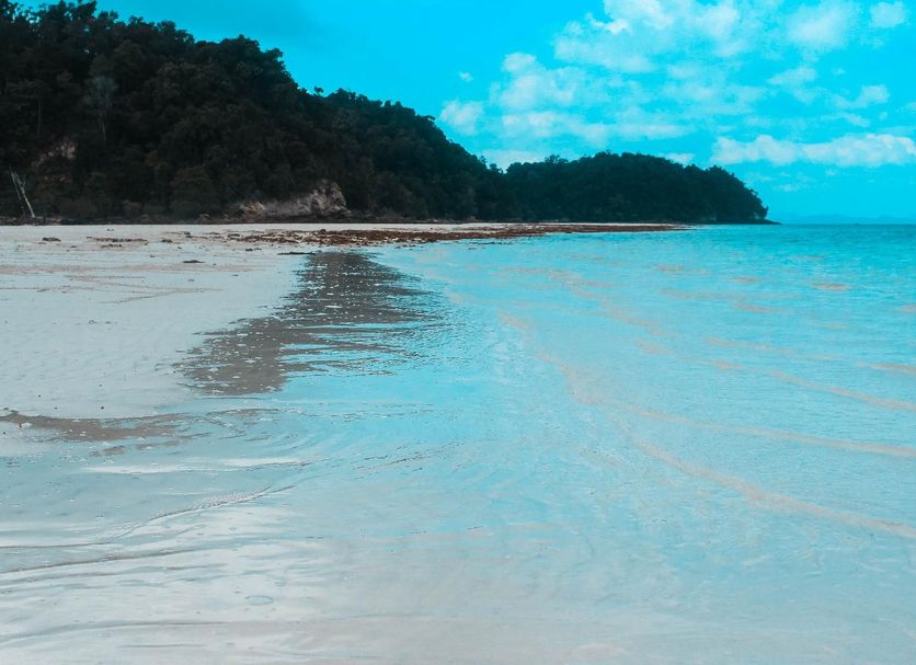 Beach Photo
