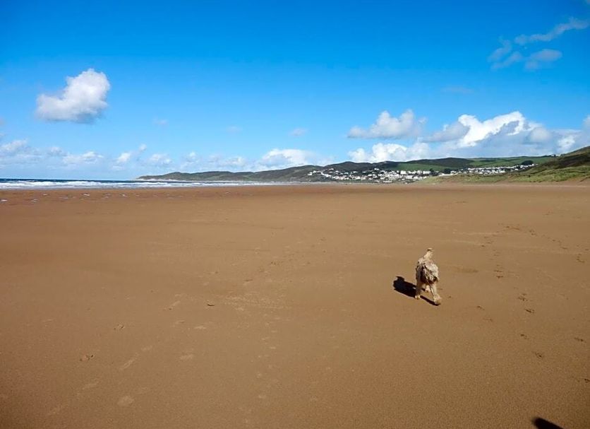 Beach Photo