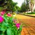Outdoor view