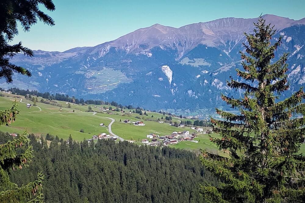 Outdoor view